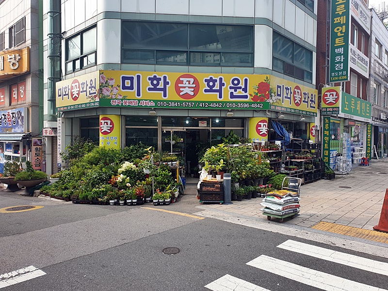 미화화원 이미지