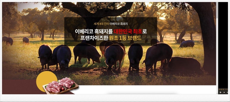 삼백인력 이미지