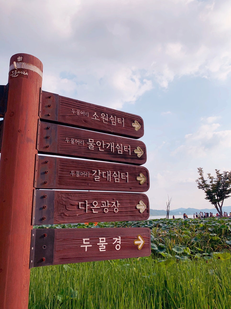 나린컴퍼니 이미지