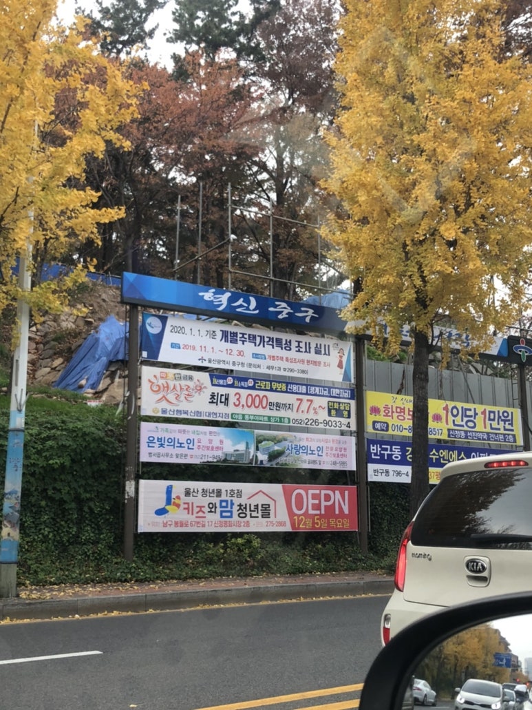 울산신정현수막 이미지