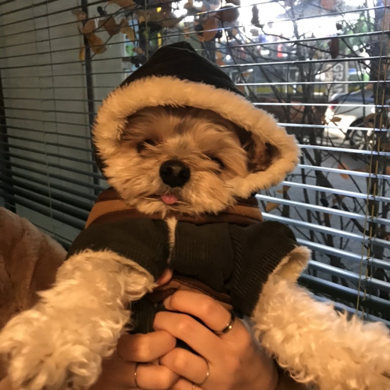 카페브루 이미지