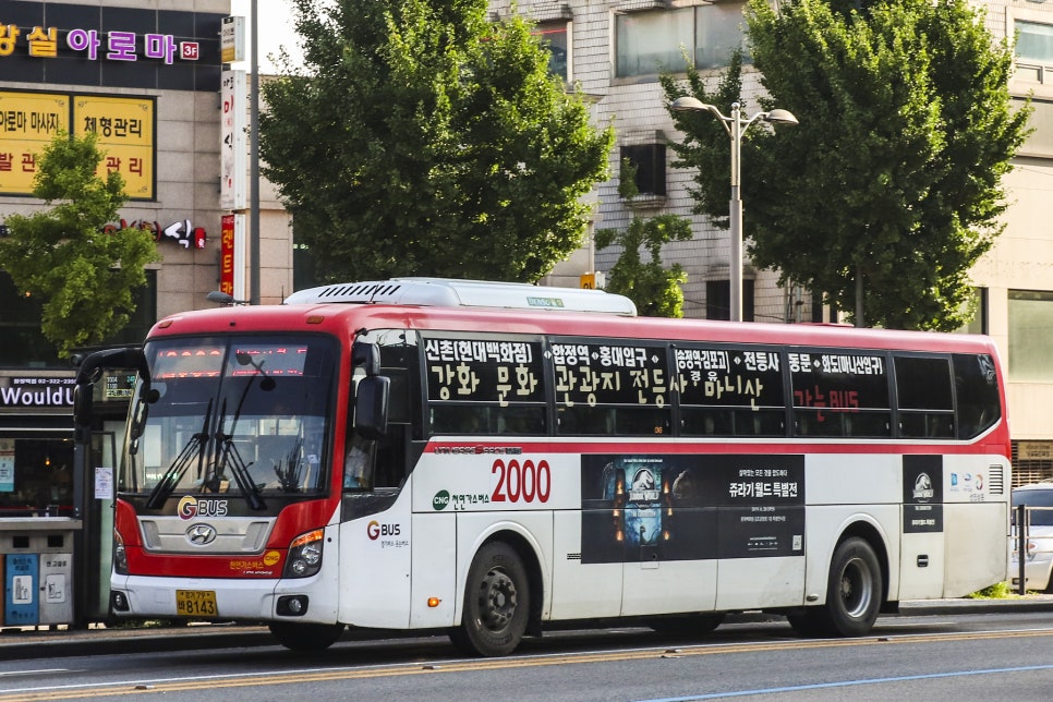 선진네트웍스 이미지