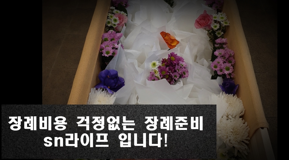 사랑애상조 이미지