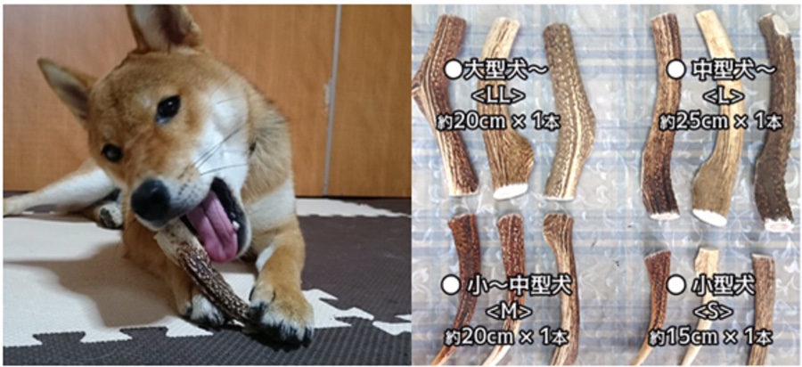 상품세탁소 이미지