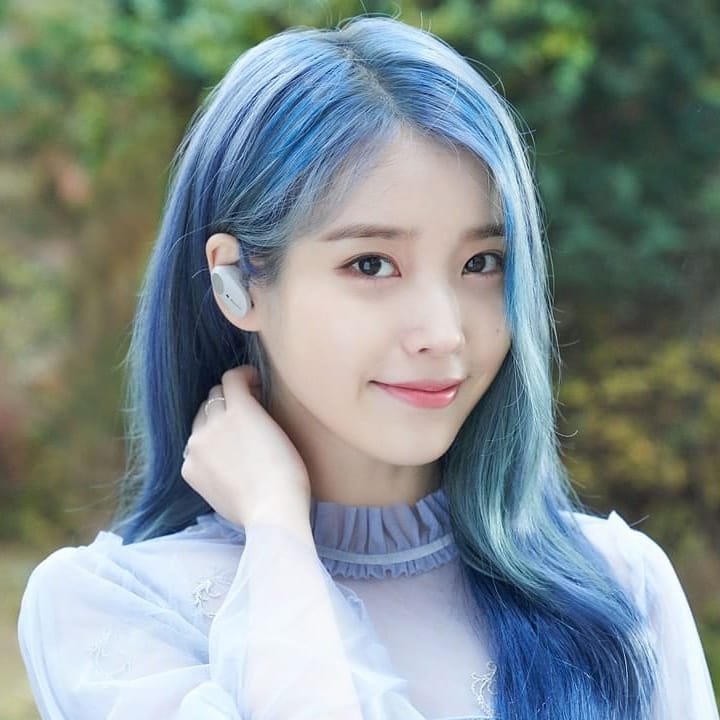 블루밍팬 이미지
