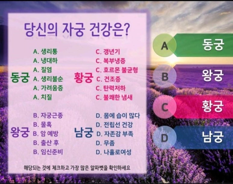 황궁테라피 이미지