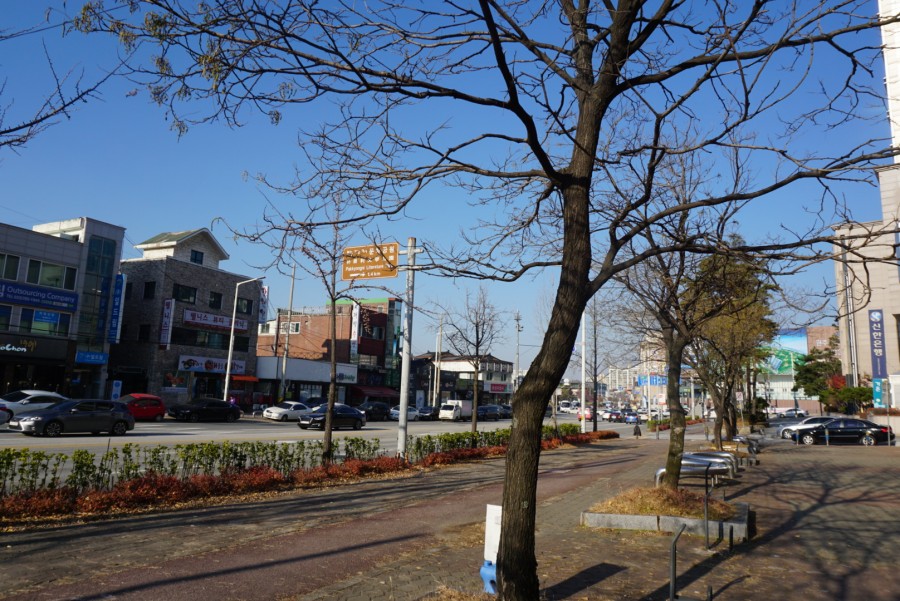 청담심스성형외과의원 이미지