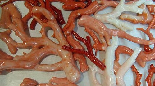 아르스디자인 이미지