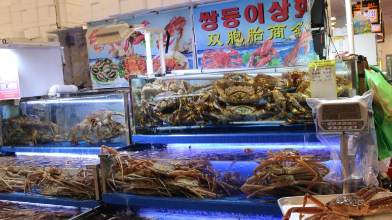 쌍둥이상회 이미지