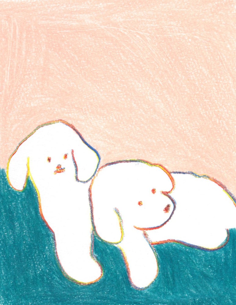 레이어21 이미지