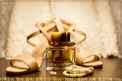 드림스포츠댄스학원 이미지