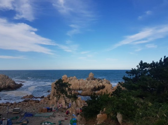 대신여행사 이미지
