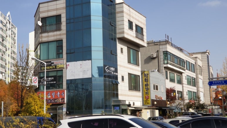 참치바라기 이미지