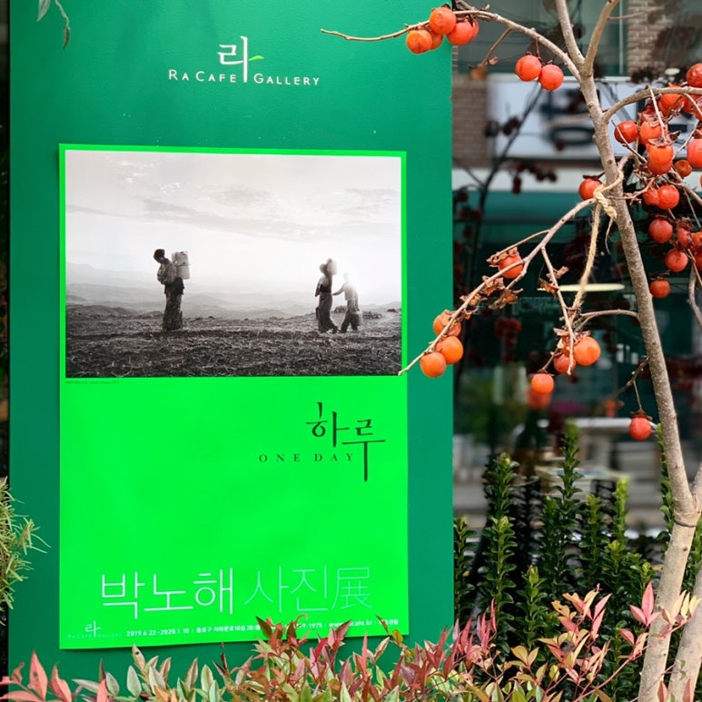 주홍카페 이미지