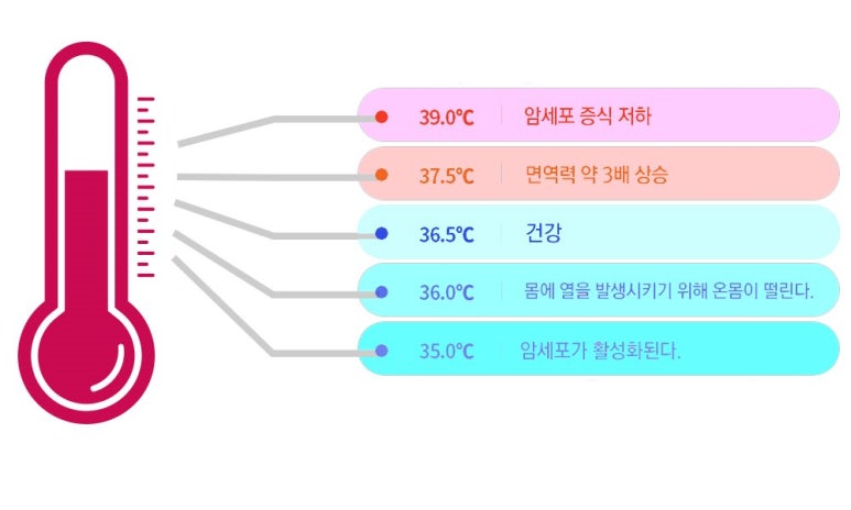 우리참옻 이미지