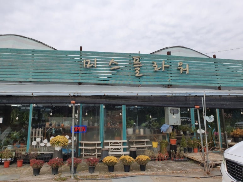 미스플라워 이미지