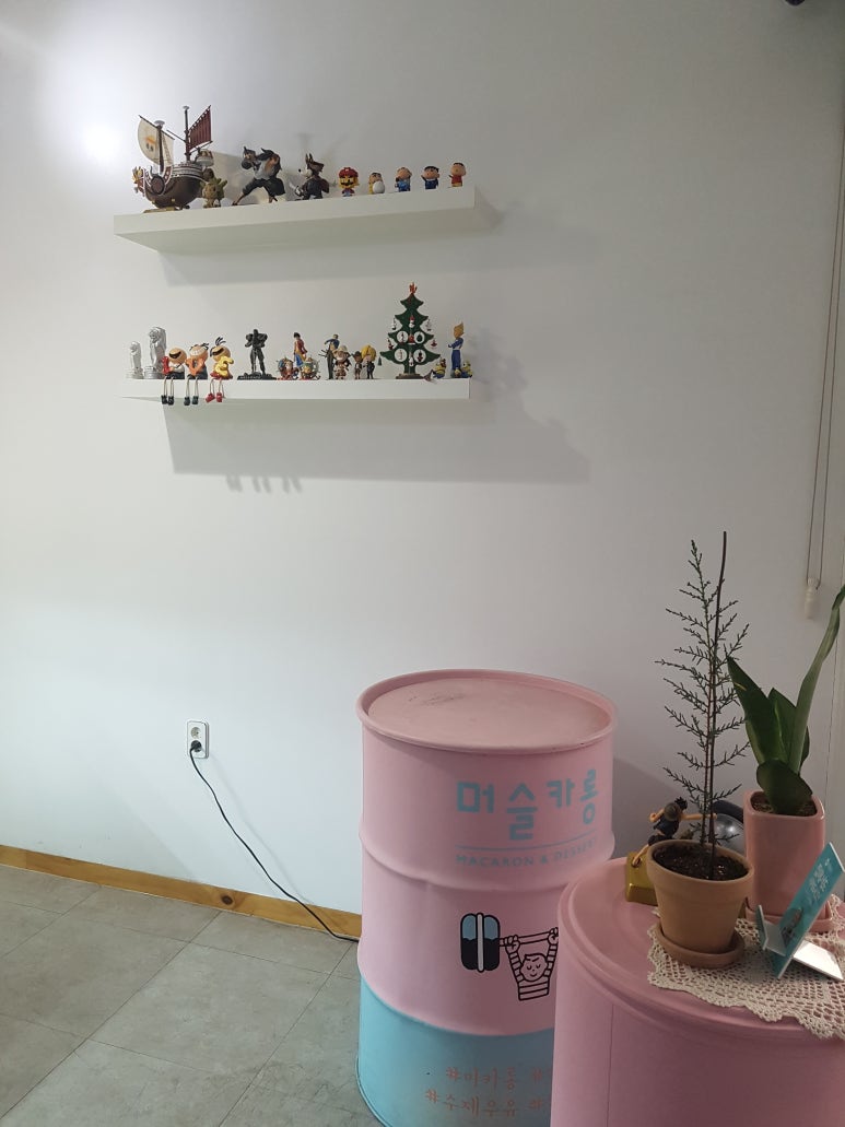 머슬카롱 이미지