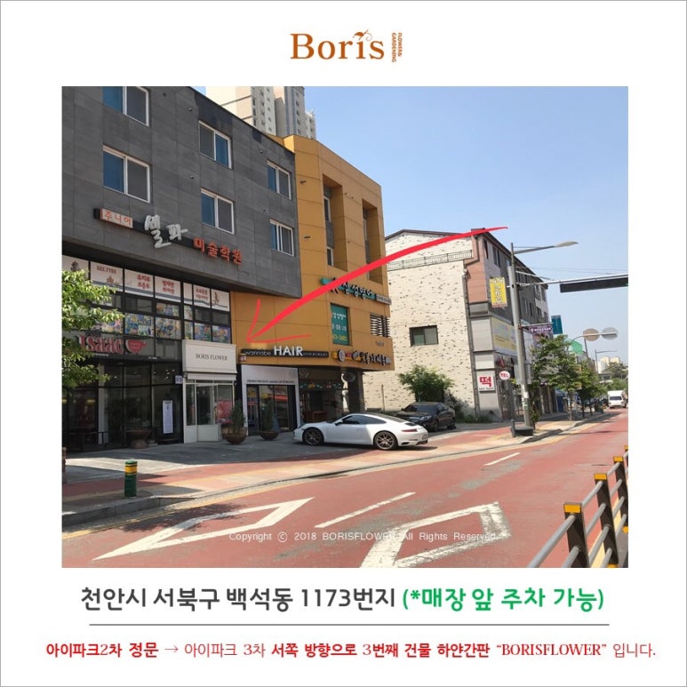 하얀꽃집 이미지