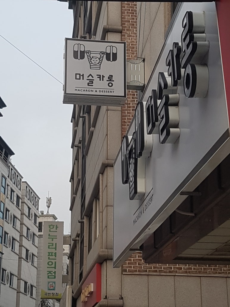 머슬카롱 이미지