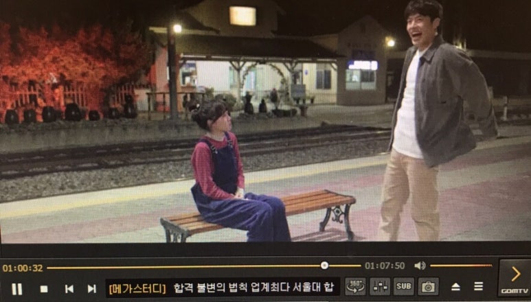 담양화 이미지