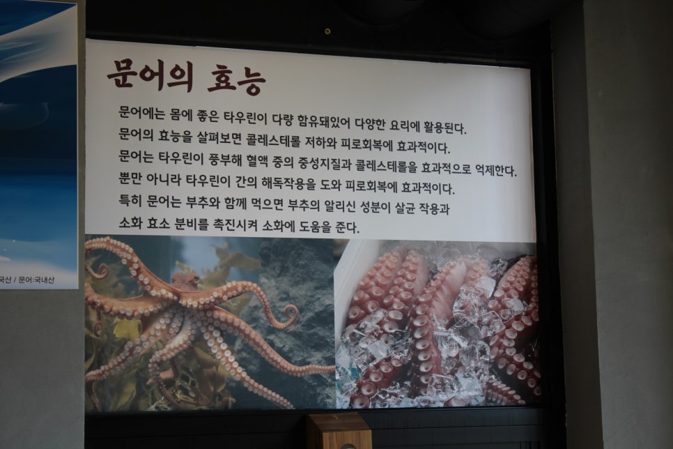 조갯집 이미지