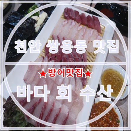 여기는바다회 이미지