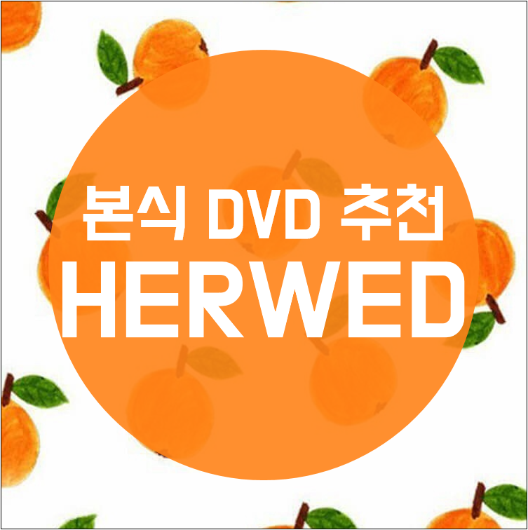 필굿미디어 이미지
