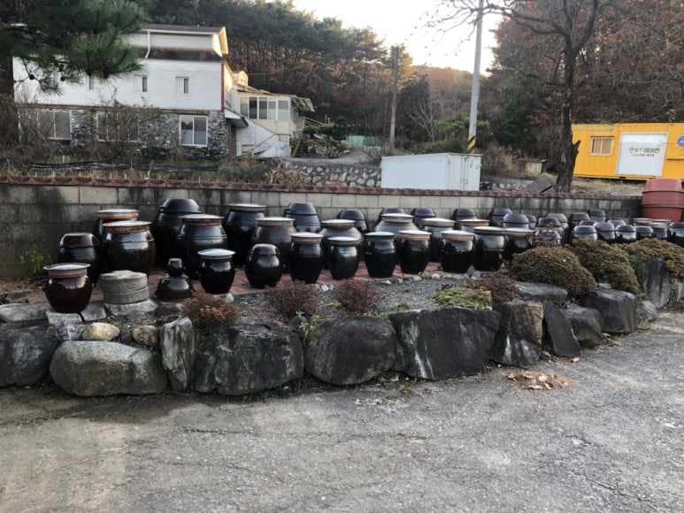 그린야생초발효 이미지