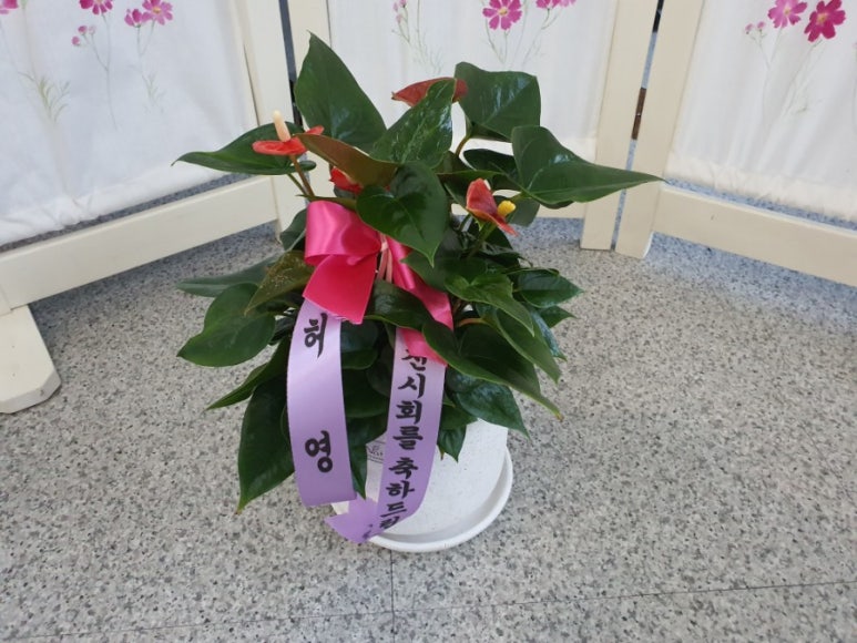 꽃노리터 이미지