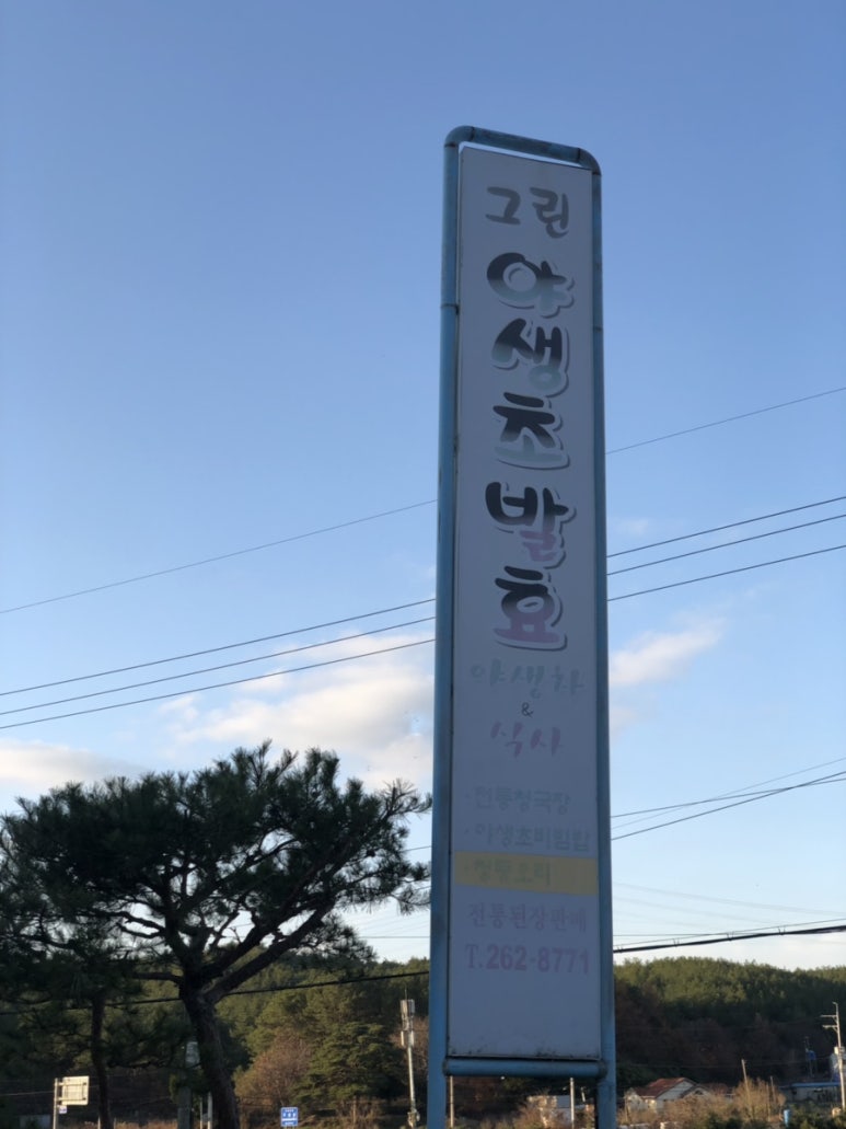그린야생초발효 이미지