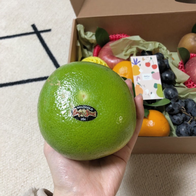 달쥬(DALJU) 이미지