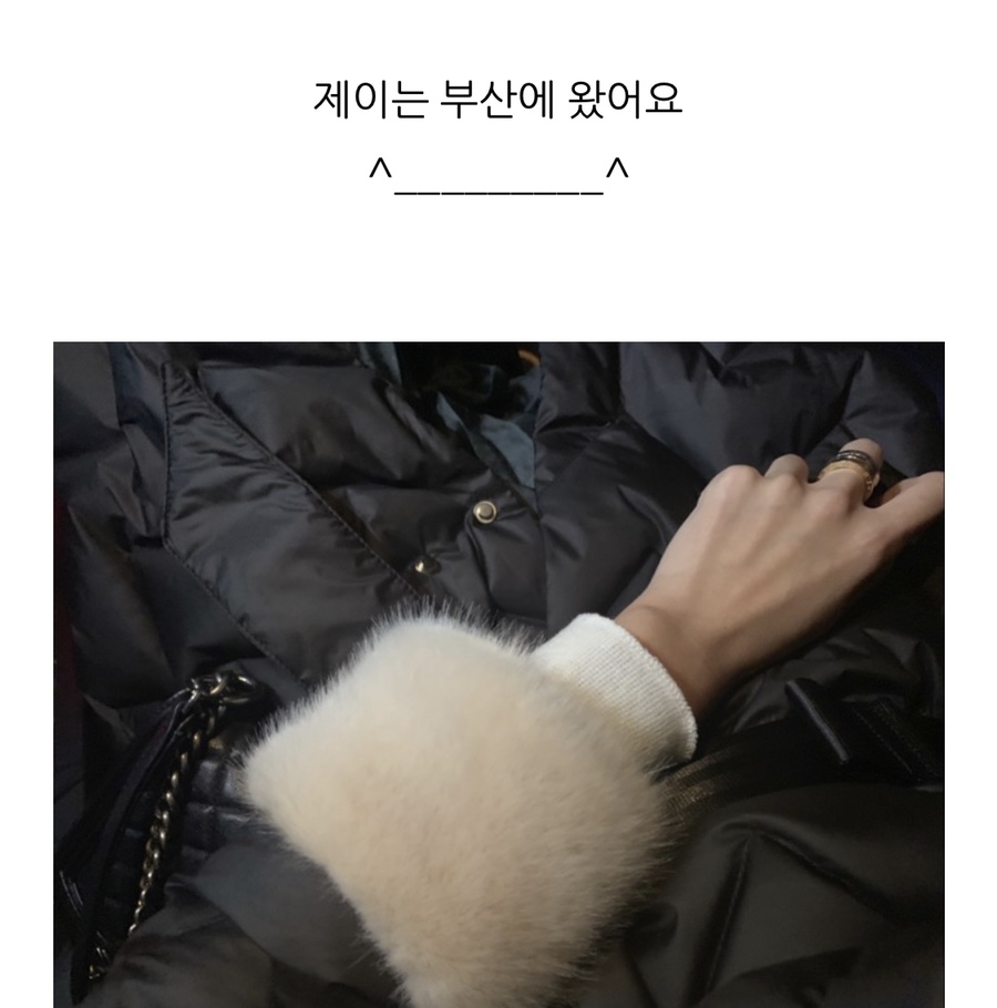 데일리 제이 이미지