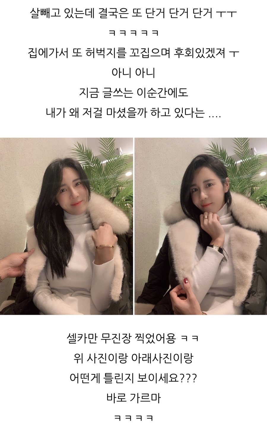 데일리 제이 이미지