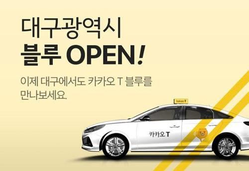 블루카카오 이미지