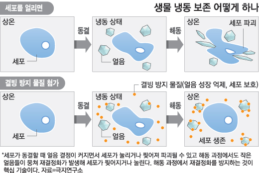 선호냉동 이미지