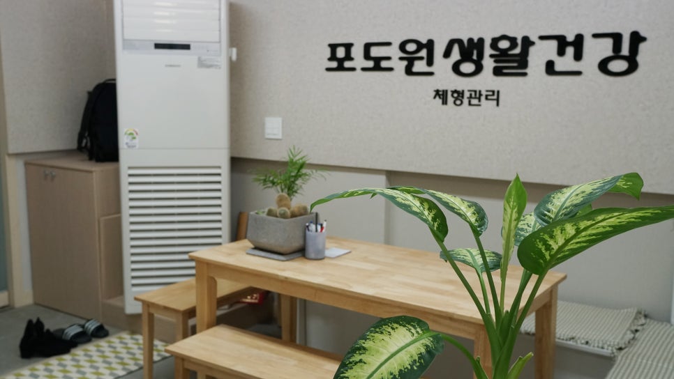 포도원생활건강 이미지