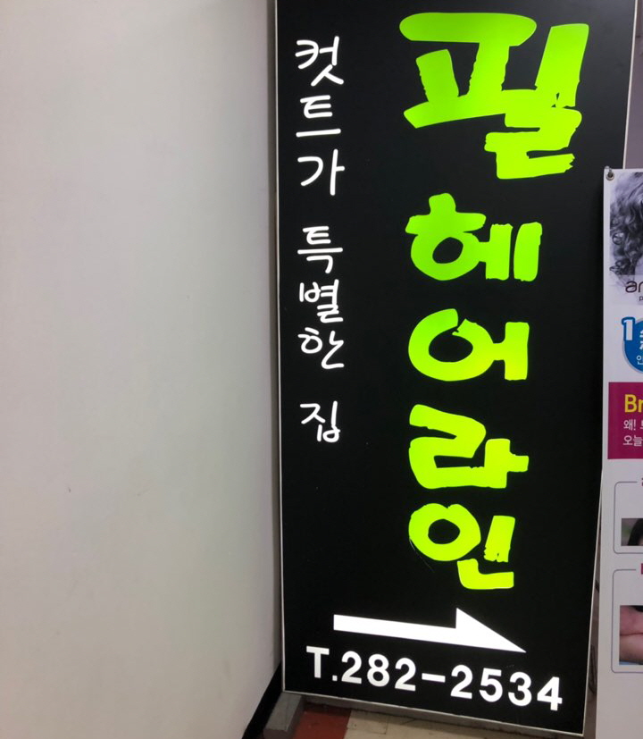 필헤어 이미지