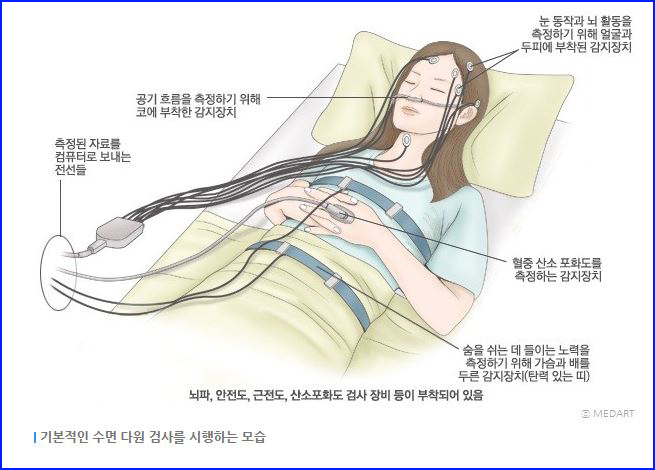 다원솔루션 이미지