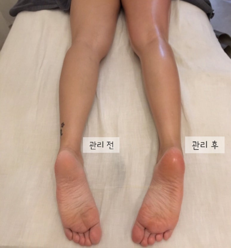 메종드에스떼 이미지