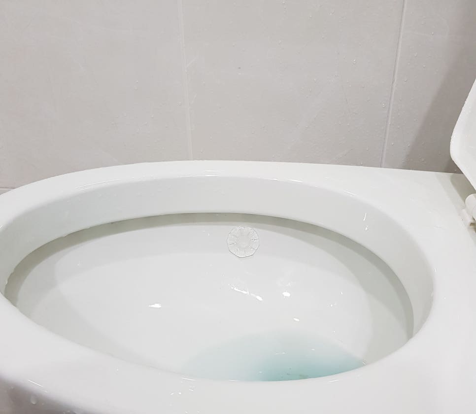 초록프레시 이미지