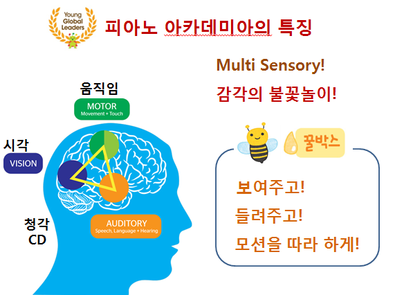 새솔셀라음악학원 이미지