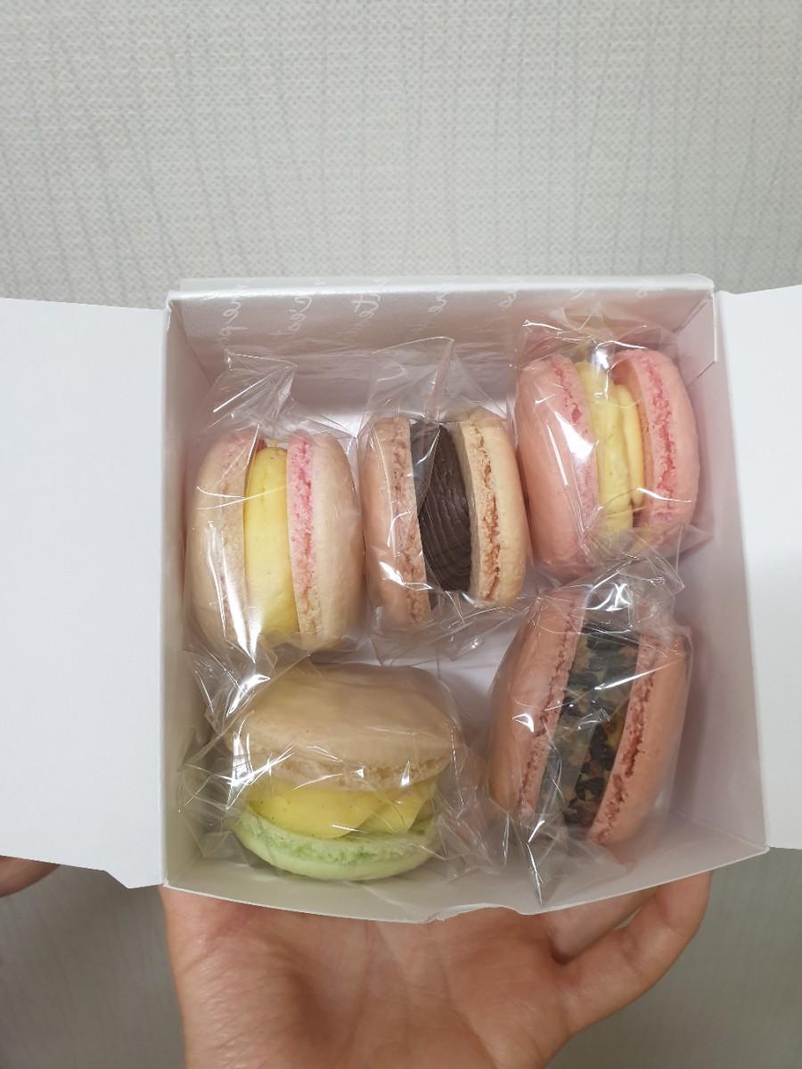 마카롱모리 이미지