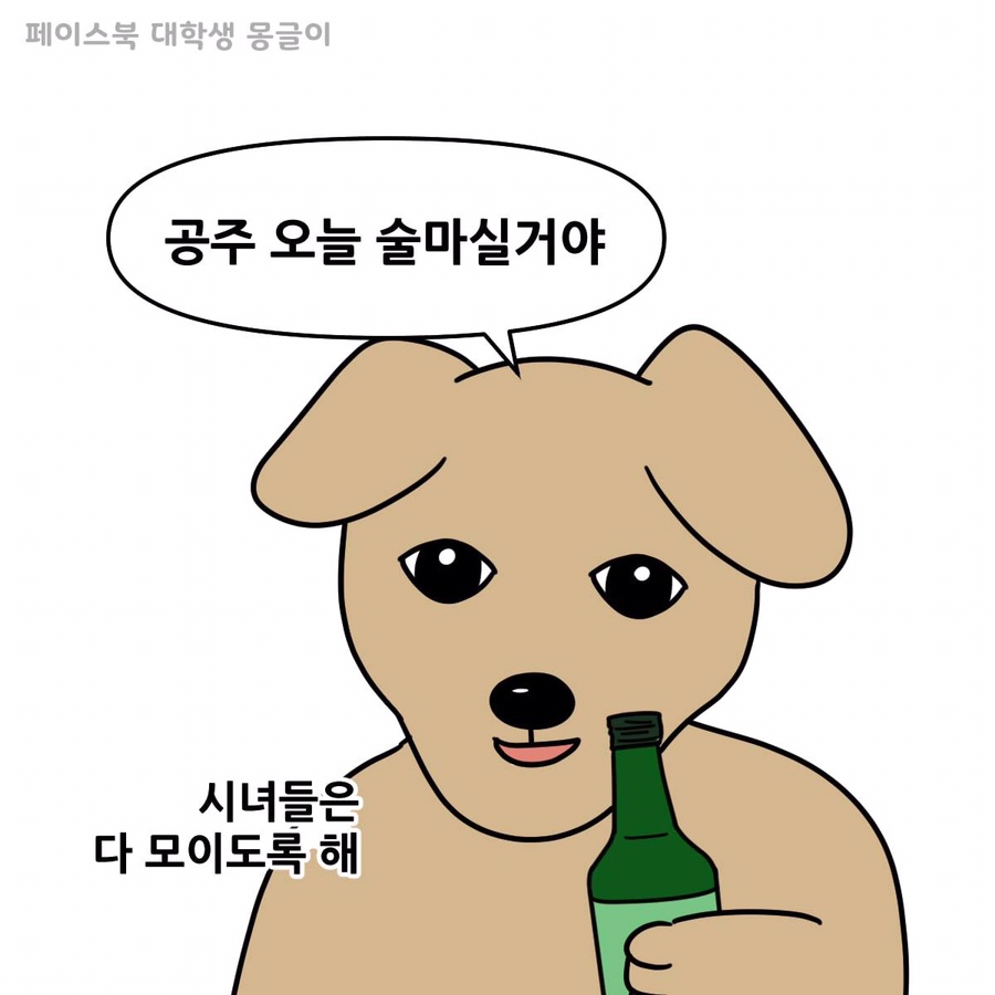 채니 이미지