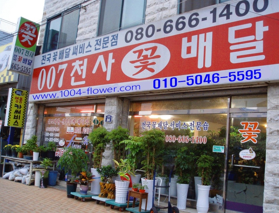 ００７천사꽃배달 이미지