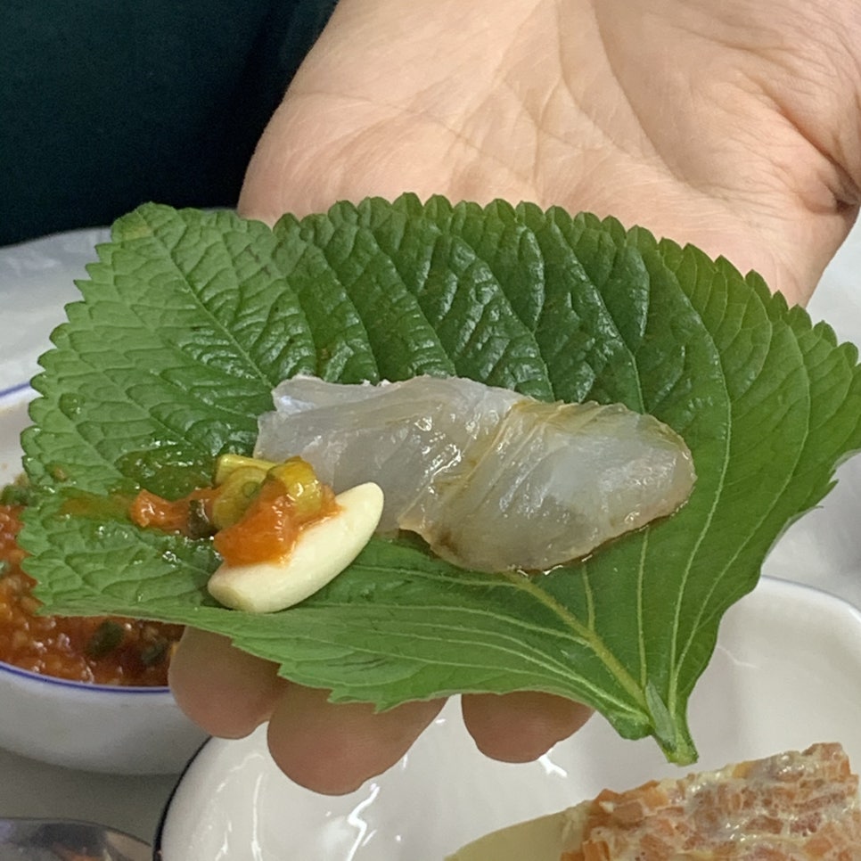 영진회센타 이미지