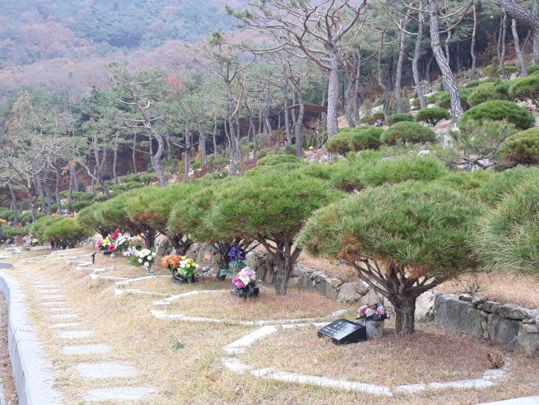 그린피아수목장 이미지