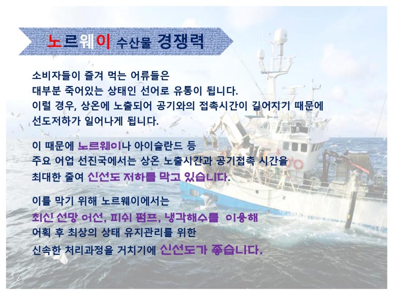 고등어명품이되다 이미지