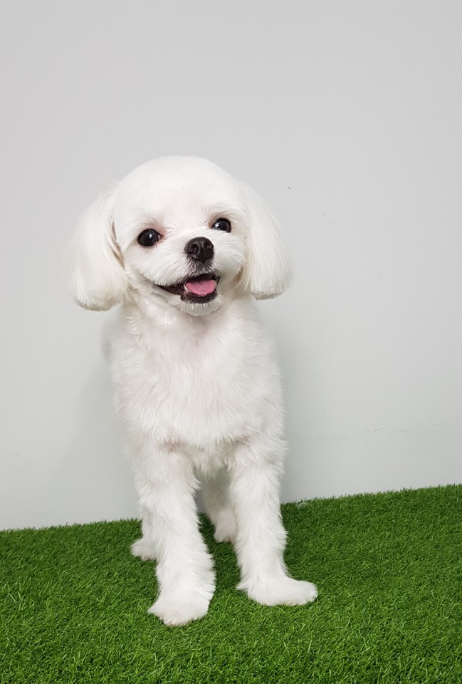파리바게뜨수원탑동 이미지