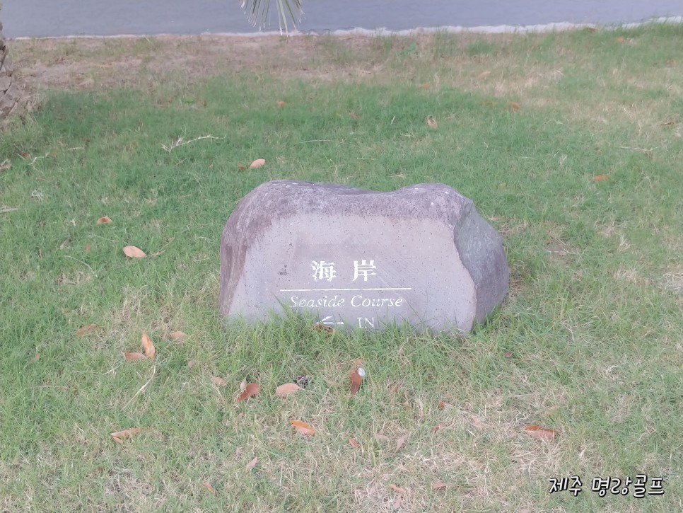 한국관광공사 중문골프장 이미지