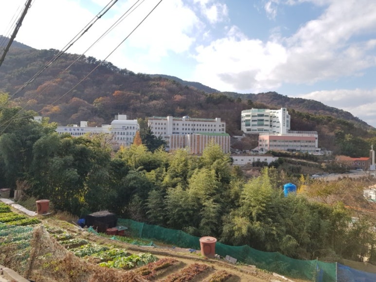 길정병원 이미지